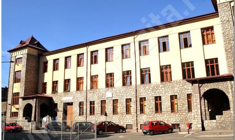 Conferinţă internaţională online la Colegiul Naţional „Diaconovici-Tietz”