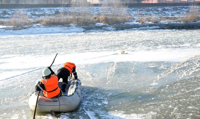 [FOTO] Operațiune grea pentru pompierii din vestul țării