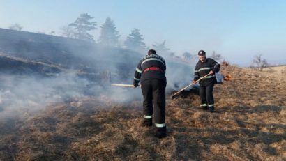 Zeci de hectare de teren, mistuite de flăcări