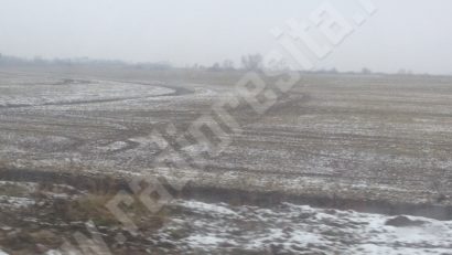 Semănatul timpuriu aduce recoltă bogată în Caraş-Severin, afirmă specialiştii în agricultură