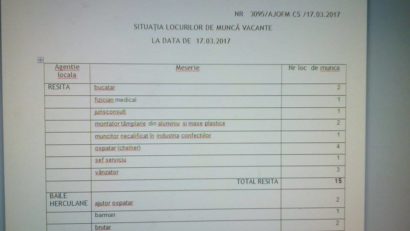 Locuri de muncă vacante în Caraș-Severin