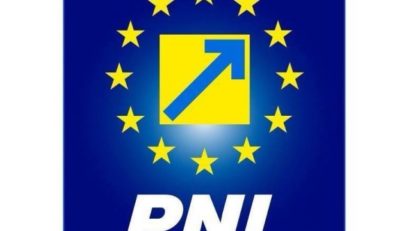 PNL a depus moţiunea de cenzură împotriva guvernului Dăncilă