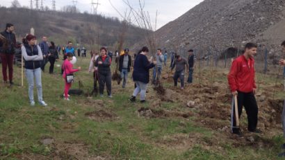 Din iniţiativa unei firme private, 400 de puieţi au fost plantaţi astăzi la Reşiţa, cu sprijinul administraţiei locale