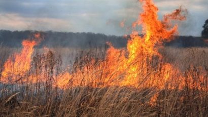 Zeci de hectare de vegetaţe uscată, cuprinse de flacări, lângă Timişoara