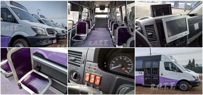 Veşti bune pentru timişoreni! Minibuzele violet intră de astăzi în circulaţie