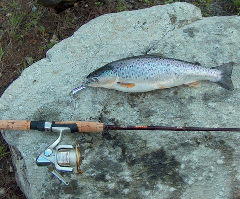 Atenţie pescari, undiţa în cui, a început prohibiţia!