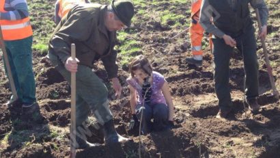 [FOTO] Luna plantării arborilor a debutat, sub auspiciile primăverii, la Bocşa