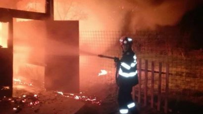 Incendiu la un laborator de preparare a cărnii din Vulcan