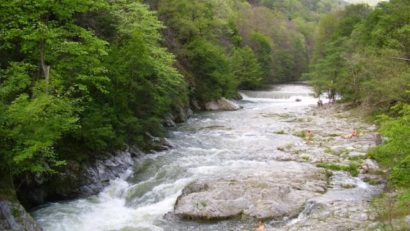 Întoarcerea la APĂ – în stațiunea Băile Herculane!