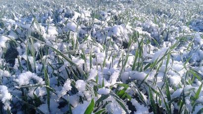 Vremea rea şi frigul, dau fiori agricultorilor: În plină campanie de primăvară lucrările sunt înţepenite