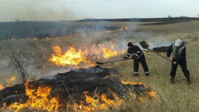 Aproape 300 de incendii de vegetaţie s-au înregistrat în Banatul Montan