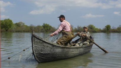 Bucurie pentru pescari: Fir întins la… Dunăre