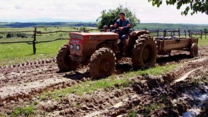 Caraş-Severin, codaş la însămânţările de primăvară: porumbul, cartofii şi legumele la jumătate faţă de 2016