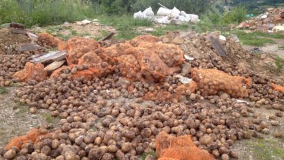 [FOTO] Focar de infecție la marginea orașului