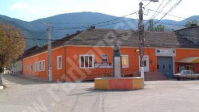 200 de voluntari participă la proiectul Color the Village pentru renovarea localiăţii Eftimie Murgu