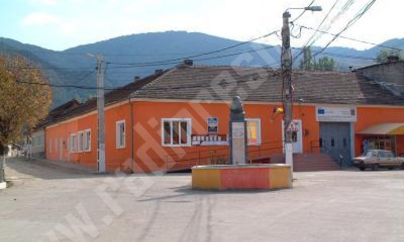 200 de voluntari participă la proiectul Color the Village pentru renovarea localiăţii Eftimie Murgu