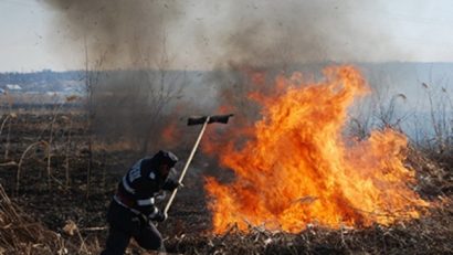 Comportarea în caz de caniculă/Arderea vegetației uscate