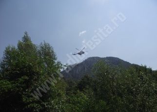 Pompierii continuă să anihileze focul din Parcul Naţional Domogled-V.Cernei