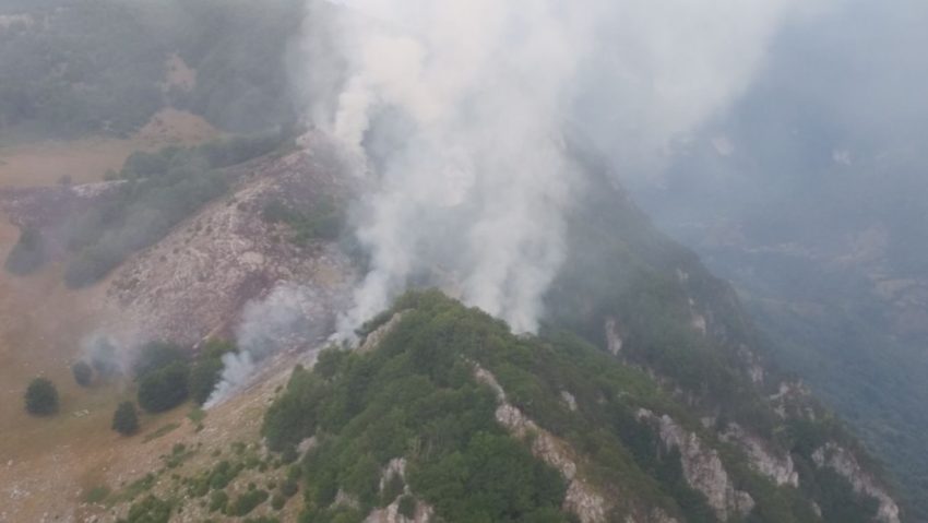 Incendiu de proporții în Parcul Național Domogled