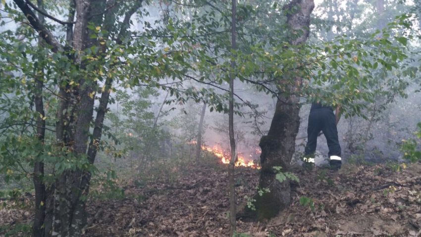 Incendiu la Bozovici lângă o stână de oi