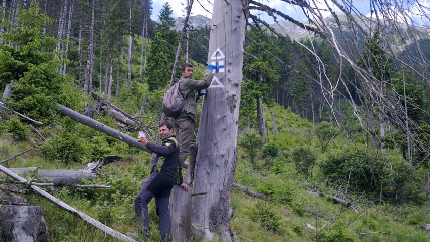 Ziua Internaţională a Rangerilor, marcată şi pe Valea Cernei