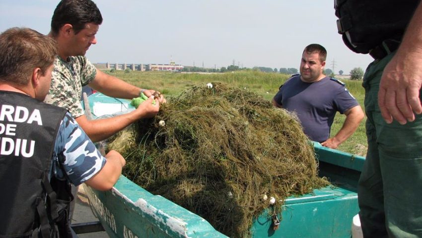 Garda Națională de Mediu a confiscat 12,5 kilometri de plasă piscicolă de braconaj în Olt