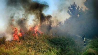 Italia: Șase români arestați după ce au făcut un grătar și au dat foc la o pădure