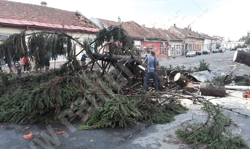 [VIDEO – FOTO] Opt morți și 67 de răniţi în urma furtunii