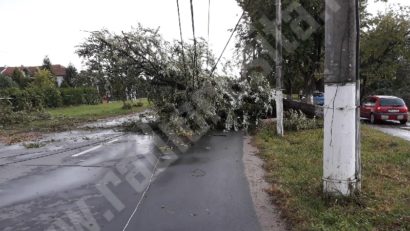 Furtuna a lăsat fără curent peste 70 de localități din vestul țării