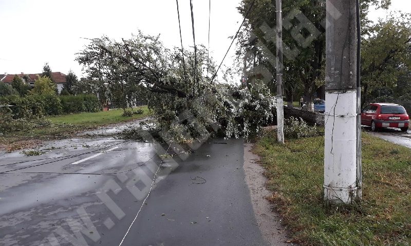 Furtuna a lăsat fără curent peste 70 de localități din vestul țării