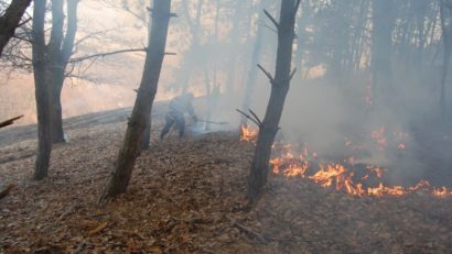 Incendiu în Parcul Domogled-Valea Cernei