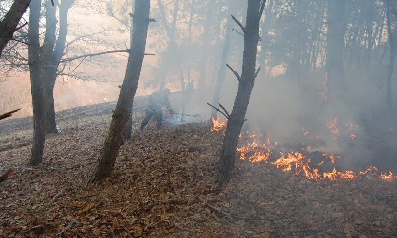 A crescut numărul incendiilor din pădure la aproape 200 doar în 6 luni