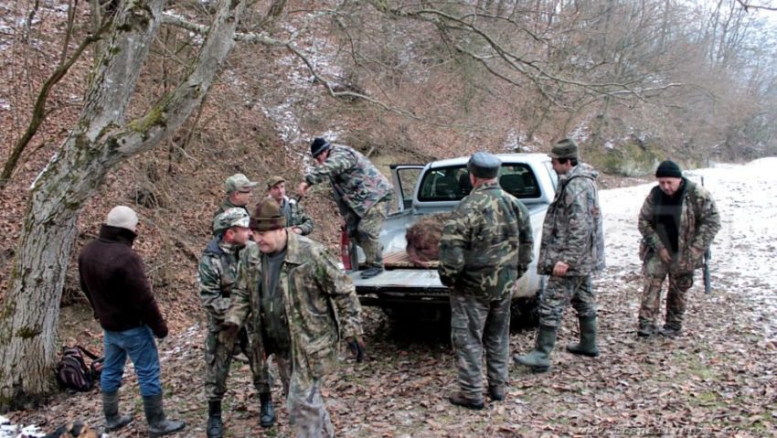 Vânătorii de pe Valea Cernei au luat ”în cătare”…planul de recoltă