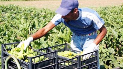 Agricultura ecologică câştigă teren în Caraş-Severin