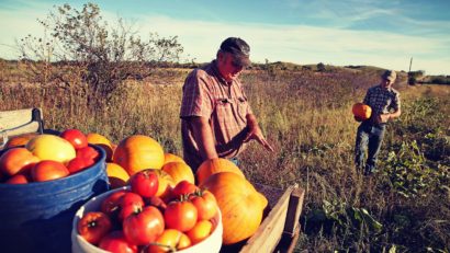 [AUDIO] Direcţia pentru Agricultură Caraş-Severin pregăteşte fermieri cu diplomă