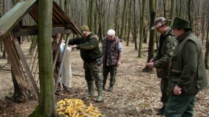 Tone de furaje la dispoziţia jivinelor în sezonul rece