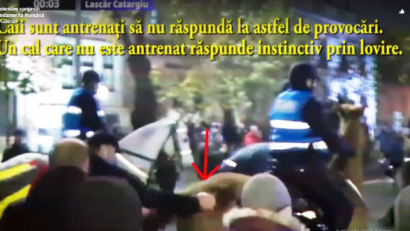 VIDEO: Jandarmeria Română a prezentat imagini în care caii sunt loviți cu pumnul de un protestatar