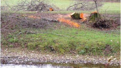 Din nou tăieri de arbori în Ariile Naturale Protejate din Caraş-Severin!