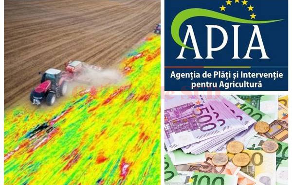 Termenul limită pentru subvenţiile pe suprafaţă la APIA este jumătatea lunii mai