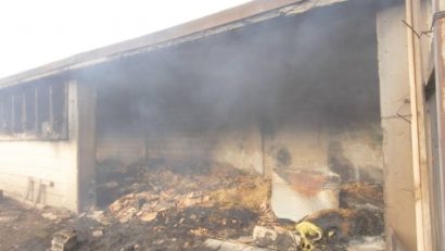 Italia: O româncă de 35 de ani, mamă a trei copii, a pierdut 150 de oi într-un teribil incendiu