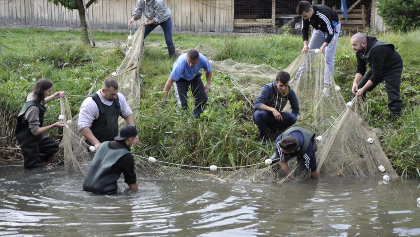 Timişenii râvnesc la fondurile piscicole ale cărăşenilor