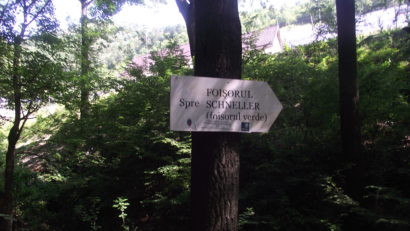 Două noi puncte de informare vor fi amenajate în Parcul Național Domogled-Valea Cernei!