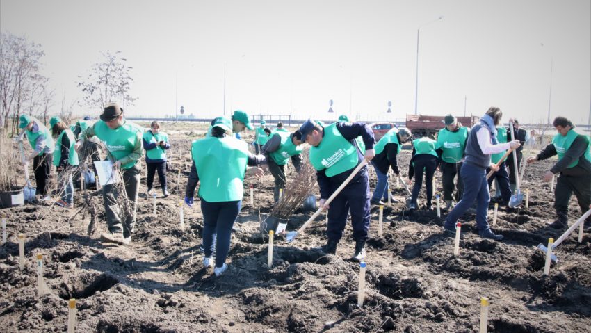 Ministerul Apelor şi Pădurilor şi Romsilva au dat startul campaniei de împăduriri de primăvară