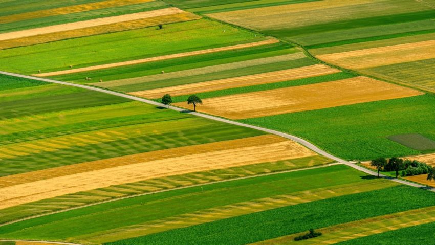 Aviz agenţilor economici: Terenuri cu potenţial agricol disponibile în Caraş-Severin