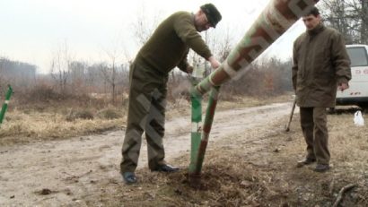 Fondurile forestiere, o pacoste, în Caraş-Severin: Un pădurar la 1.000 de hectare