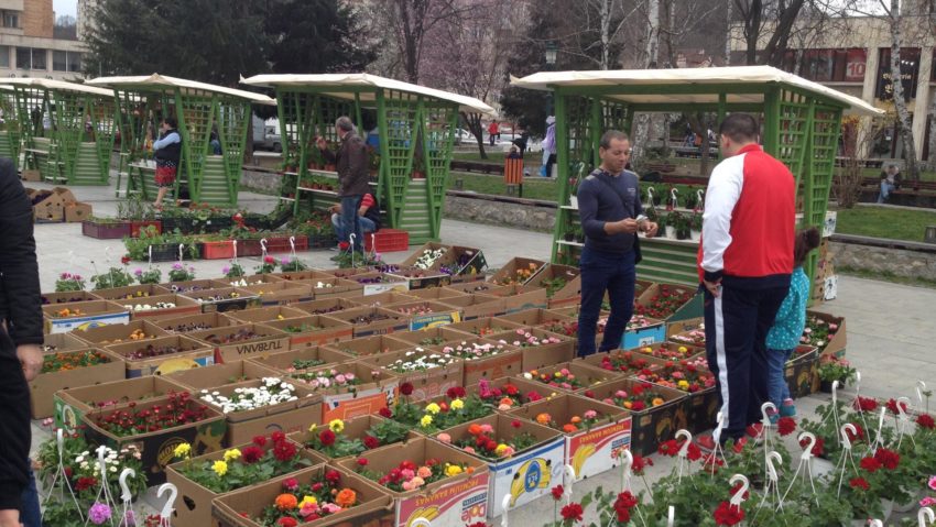 Culori şi muzică populară astăzi în centrul Civic al Reşiţei