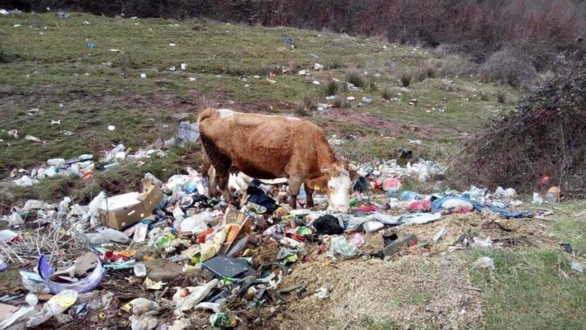 [FOTO] Primăria Reşiţa avertizează şi amendează