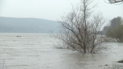 Apele Dunării au ieşit din matcă