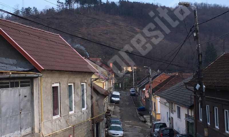 [FOTO] Primăvară vine cu tăieri la Reşiţa: Localnicii se alarmează, Direcţia Silvică explică…