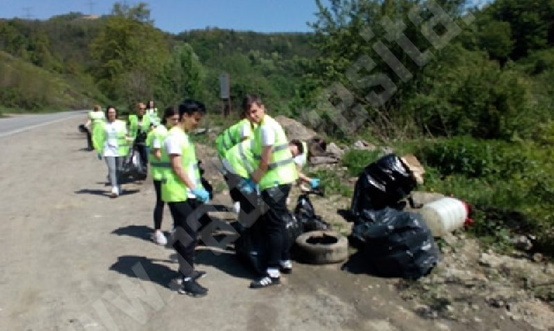 [FOTO] Primăria Reşiţa salubrizează intrările în oraş în cadrul unei ample campanii de ecologizare